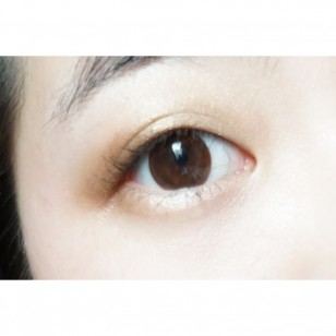 Muriel Eye Lush 紅珊瑚 Magic Brown